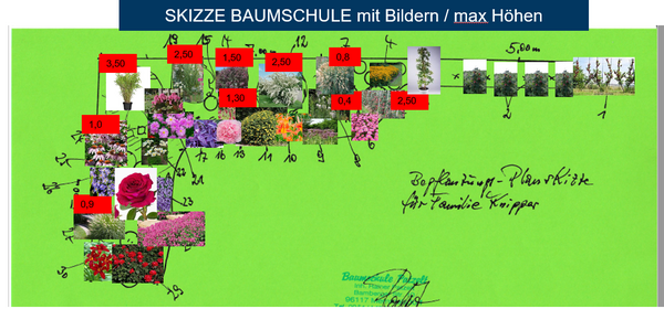 Abbildung der Skizze der Baumschule